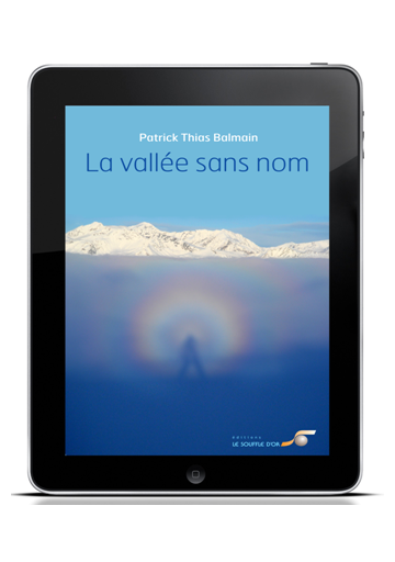 Vallée sans nom (La)  (ebook)
