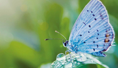 Apprivoiser le dernier souffle