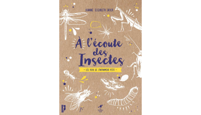 A l’écoute des insectes
