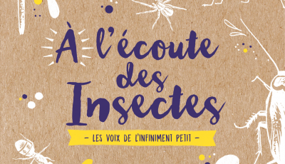 A l’écoute des insectes