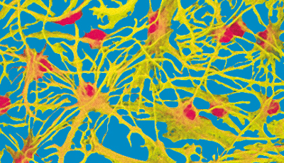 Croyances et thérapie (C. Flèche)