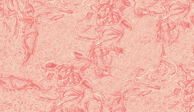 Décodez votre sexualité