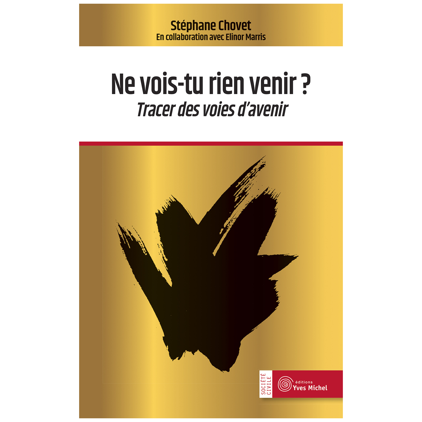 Ne vois-tu rien venir ?