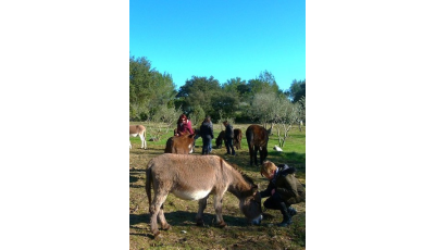 Se former à la communication animale