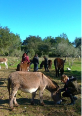 Se former à la communication animale