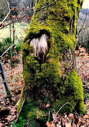 L’entreprise enracinée