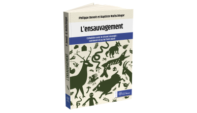 L'ensauvagement