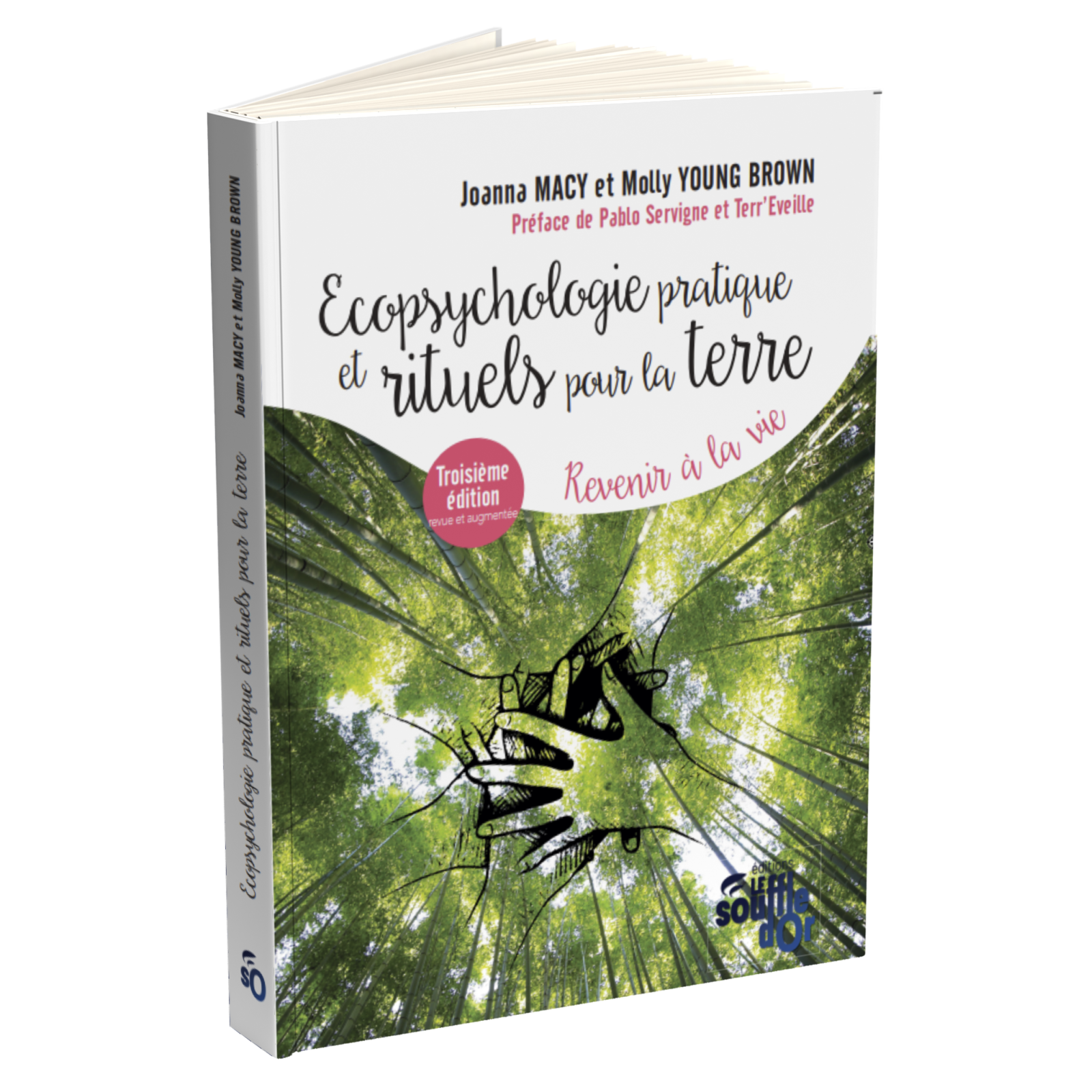 Ecopsychologie pratique et rituels pour la Terre (Nouvelle édition)