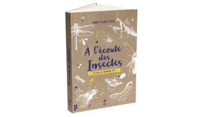 A l’écoute des insectes