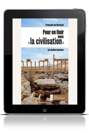 COUV-Pour-en-finir-ebook.jpg