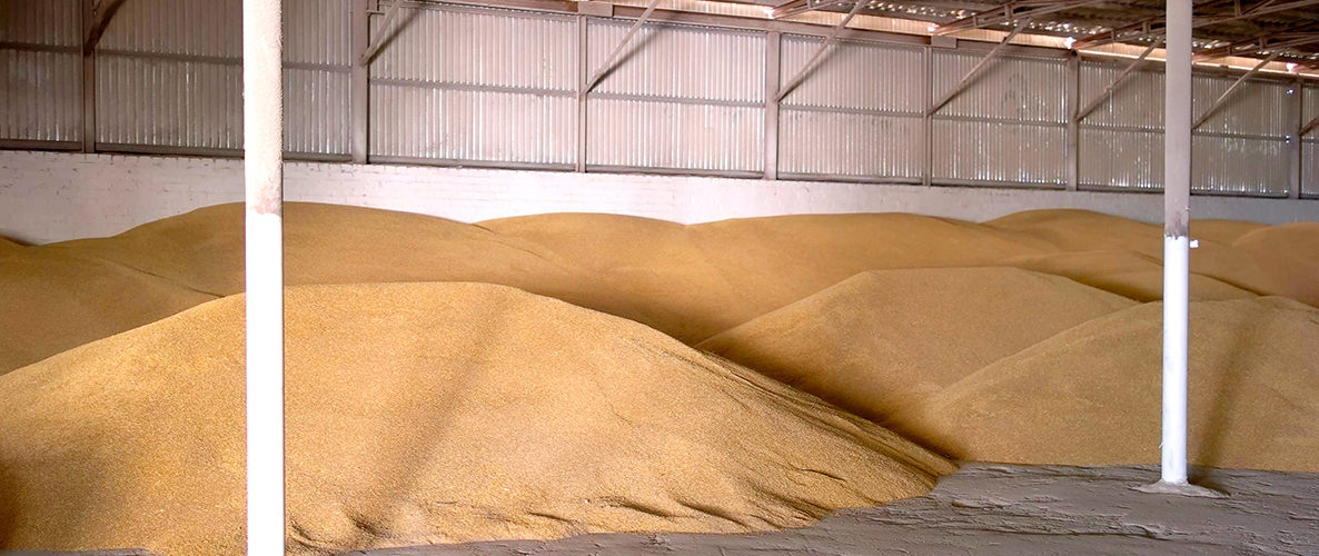 stock de céréales