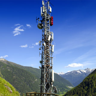 5G et biodiversité