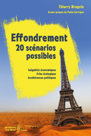 Effondrement : 20 scénarios possibles Ebook