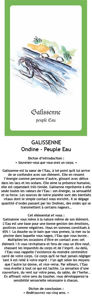 Cartes Esprits de la Nature