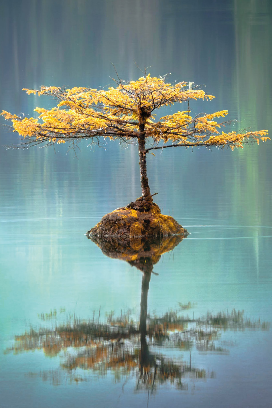 Le jeu des co-créations