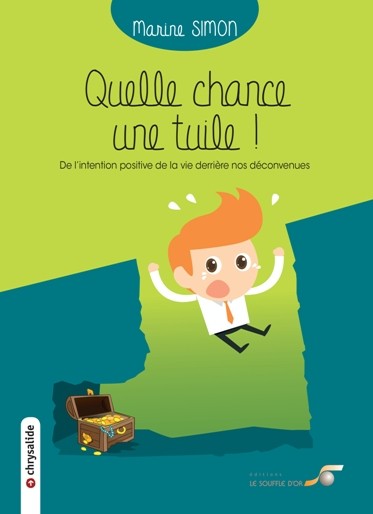 Quelle chance, une tuile !  par  