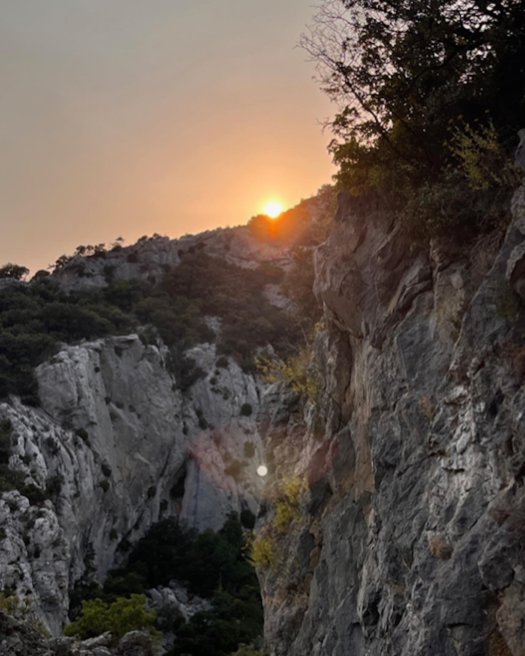 Alchimiser ses ombres et sortir des déterminismes 