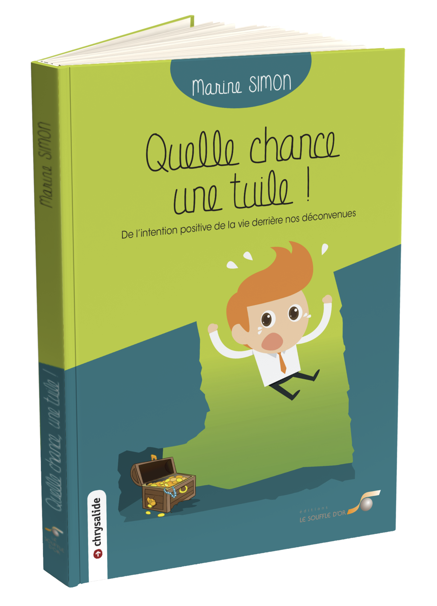 Quelle chance, une tuile !  par Marine SIMON