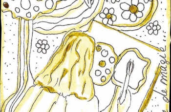 Extrait du conte de l'art de vivre "L'oeuvre de Celestiano"